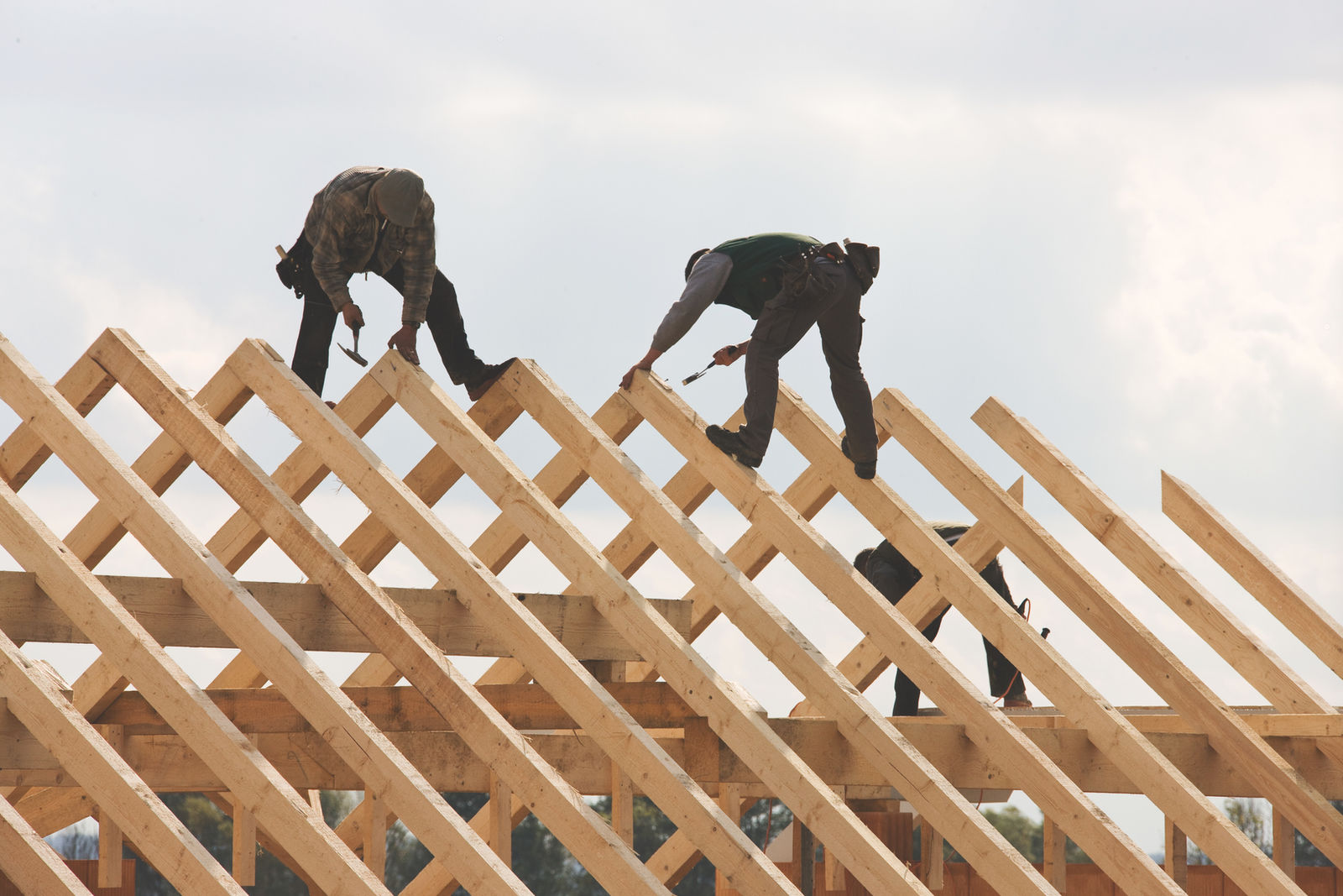Crew setting roof trusses on a new build